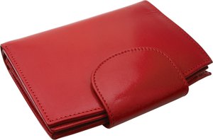 Carteira 319013